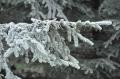 Hiver 1.jpg Hiver 1.jpg